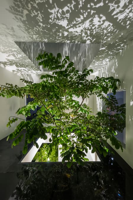 Sky House